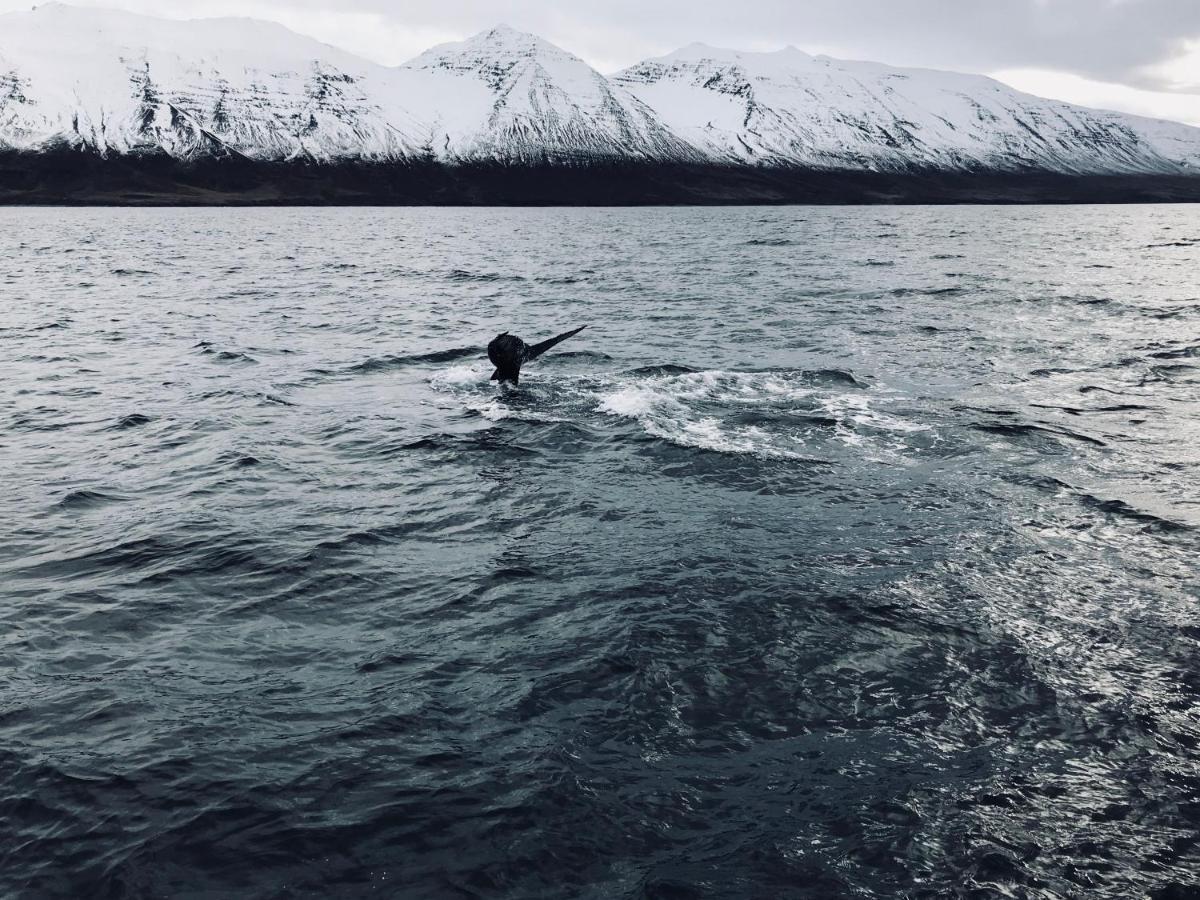 L&L BnB - Stay'in Árbakki Arskogssandur Esterno foto