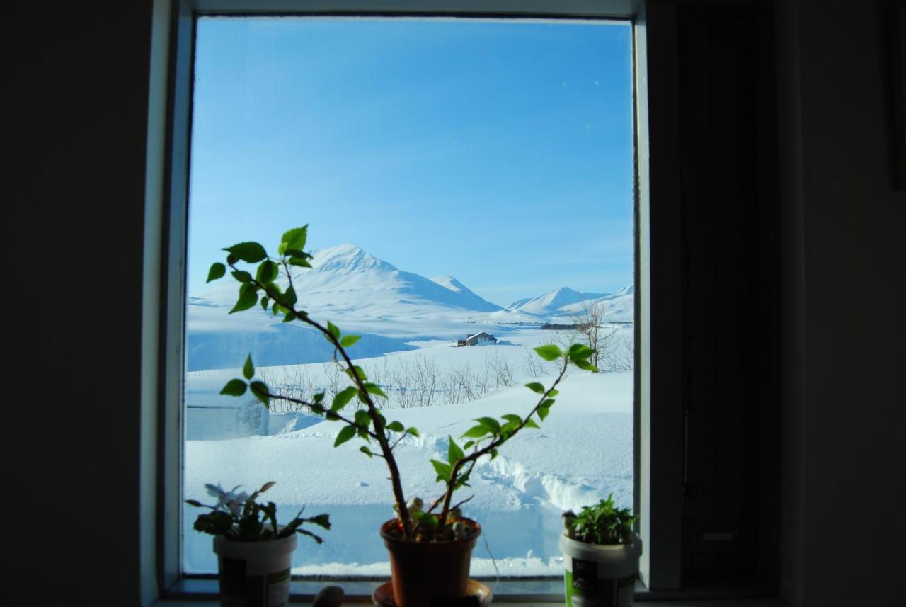 L&L BnB - Stay'in Árbakki Arskogssandur Esterno foto